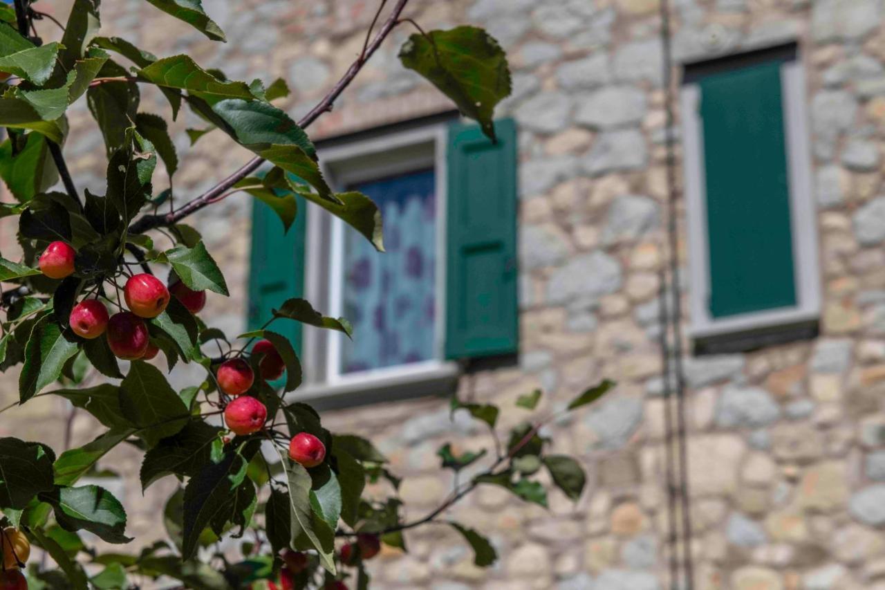 Podere Pratizzoli Толе Экстерьер фото