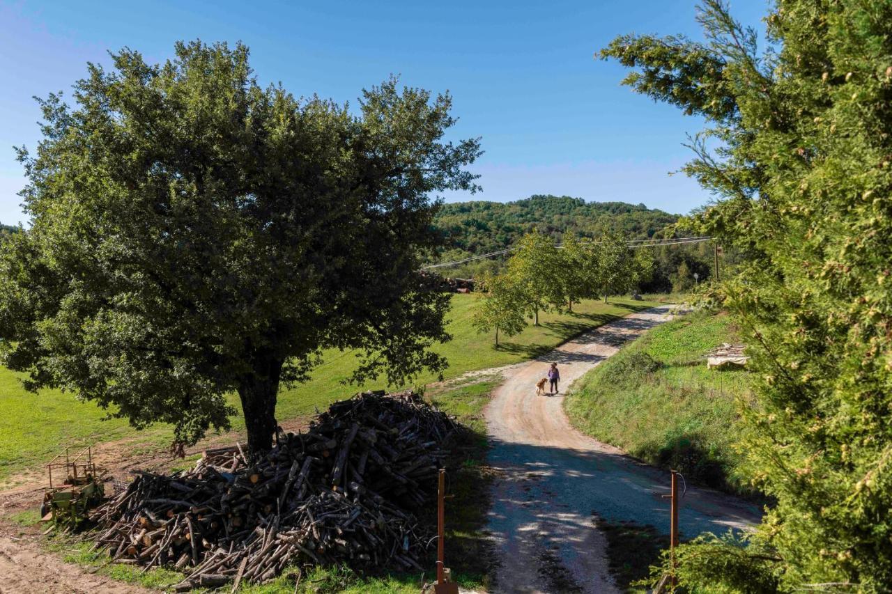 Podere Pratizzoli Толе Экстерьер фото